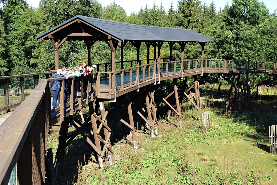 Moc se nám líbilo na lávce u daňků.