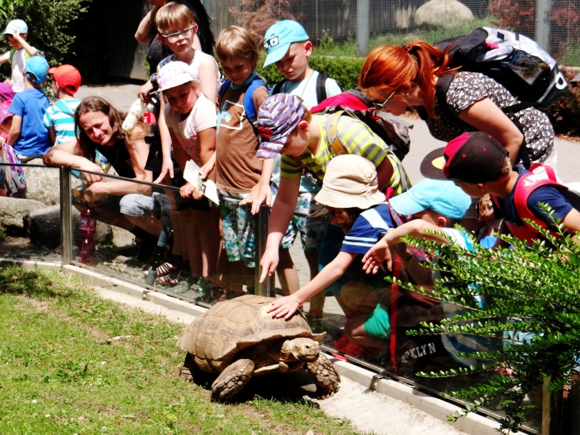 Pak jsme se přesunuli do liberecké ZOO.